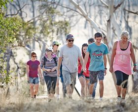 Winton Wetlands Reserve - Surfers Gold Coast 0