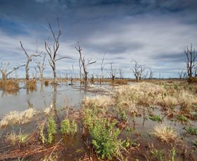 Winton Wetlands Reserve - Surfers Gold Coast 4