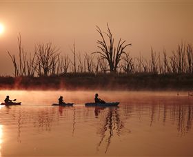 Winton Wetlands Reserve - Surfers Gold Coast 7