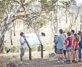 Winton Wetlands Reserve - Surfers Gold Coast 5