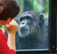 The Rockhampton Zoo - Surfers Gold Coast