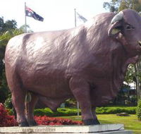 Rockhampton Bull Statues - Surfers Gold Coast