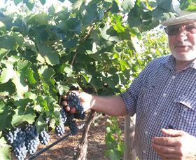 Rosnay Organic Farm And Vineyard - Surfers Gold Coast 6