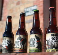 Black Dog Brewery - Surfers Gold Coast