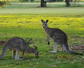 Benalla Golf Club - Surfers Gold Coast 1