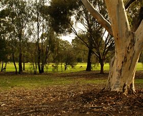 Benalla Golf Club - Surfers Gold Coast 2