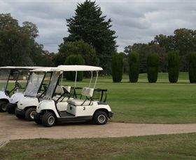 Benalla Golf Club - Surfers Gold Coast 3