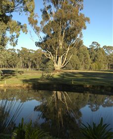 Benalla Golf Club - Surfers Gold Coast 5
