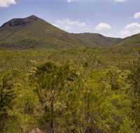 Kutini-Payamu Iron Range National Park CYPAL - Surfers Gold Coast