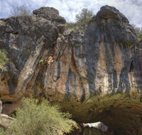 Borenore Karst Conservation Reserve - Surfers Gold Coast