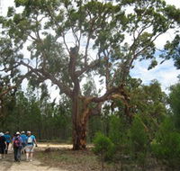 Koorilgur Nature Reserve - Surfers Gold Coast