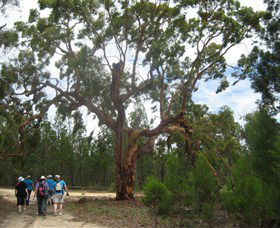 Koorilgur Nature Reserve - Surfers Gold Coast 0