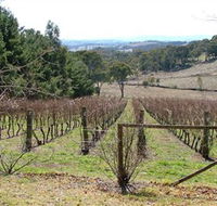 Habitat Vineyard - Surfers Gold Coast