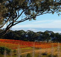 Bloodwood Estate - Surfers Gold Coast
