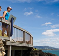 Mount Canobolas State Conservation Area - Surfers Gold Coast