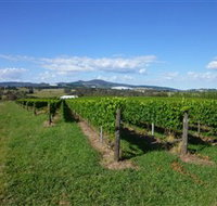 Hedberg Hill Wines - Surfers Gold Coast