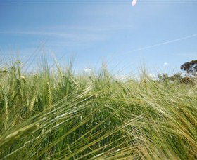 150 Degrees East Meridian - Surfers Gold Coast 0