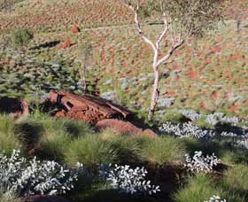 Camel Trail, Millstream-Chichester National Park - Surfers Gold Coast 2