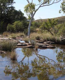 Camel Trail, Millstream-Chichester National Park - Surfers Gold Coast 3