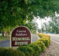 Memorial Avenue in Cowra - Surfers Gold Coast