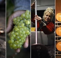 Ross Hill Wines - Surfers Gold Coast