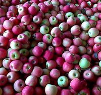 Hillside Orchard - Surfers Gold Coast