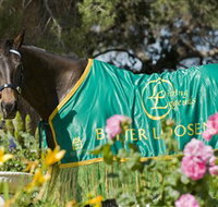 Living Legends The International Home of Rest for Champion Horses - Surfers Gold Coast
