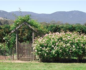 Samaria Farm - Surfers Gold Coast 2