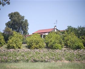 Samaria Farm - Surfers Gold Coast 0