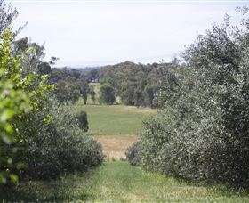 Samaria Farm - Surfers Gold Coast 7
