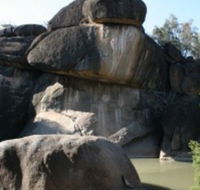 Cranky Rock Nature Reserve - Surfers Gold Coast