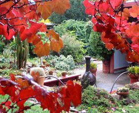 Out Of Town Nursery And Humming Garden - Surfers Gold Coast 1