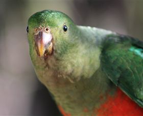 Out Of Town Nursery And Humming Garden - Surfers Gold Coast 3