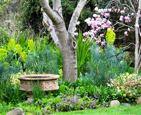 Out Of Town Nursery And Humming Garden - Surfers Gold Coast 4