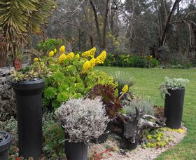 Out Of Town Nursery And Humming Garden - Surfers Gold Coast 5