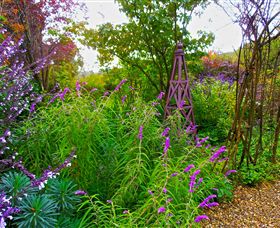 Out Of Town Nursery And Humming Garden - Surfers Gold Coast 7