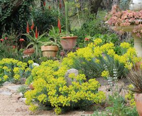 Out Of Town Nursery And Humming Garden - Surfers Gold Coast 8