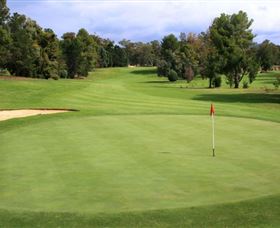 Commercial Golf Course - Surfers Gold Coast 1