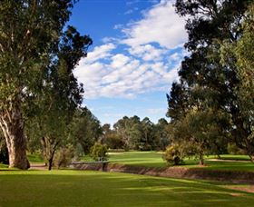Commercial Golf Course - Surfers Gold Coast 0