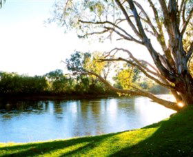 Albury - Murray River Precinct - Surfers Gold Coast 0