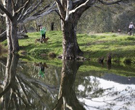 Albury - Murray River Precinct - Surfers Gold Coast 3
