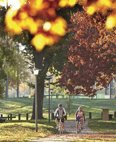 Albury - Murray River Precinct - Surfers Gold Coast 6