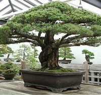 Peards Complex Albury - Surfers Gold Coast