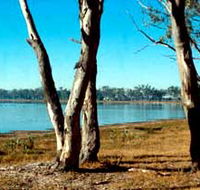 Lake Broadwater Conservation Park - Surfers Gold Coast
