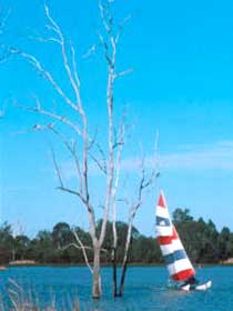 Lake Broadwater Conservation Park - Surfers Gold Coast 2