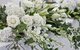 Judy Chirnside Flowers - thumb 1