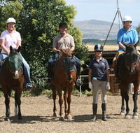 Forest Park Riding and Equitation School - Surfers Gold Coast
