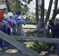 Harlow Park Horse Riding - Surfers Gold Coast