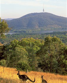 Canberra Centenary Trail - Surfers Gold Coast 0