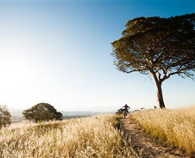 Canberra Centenary Trail - Surfers Gold Coast 1